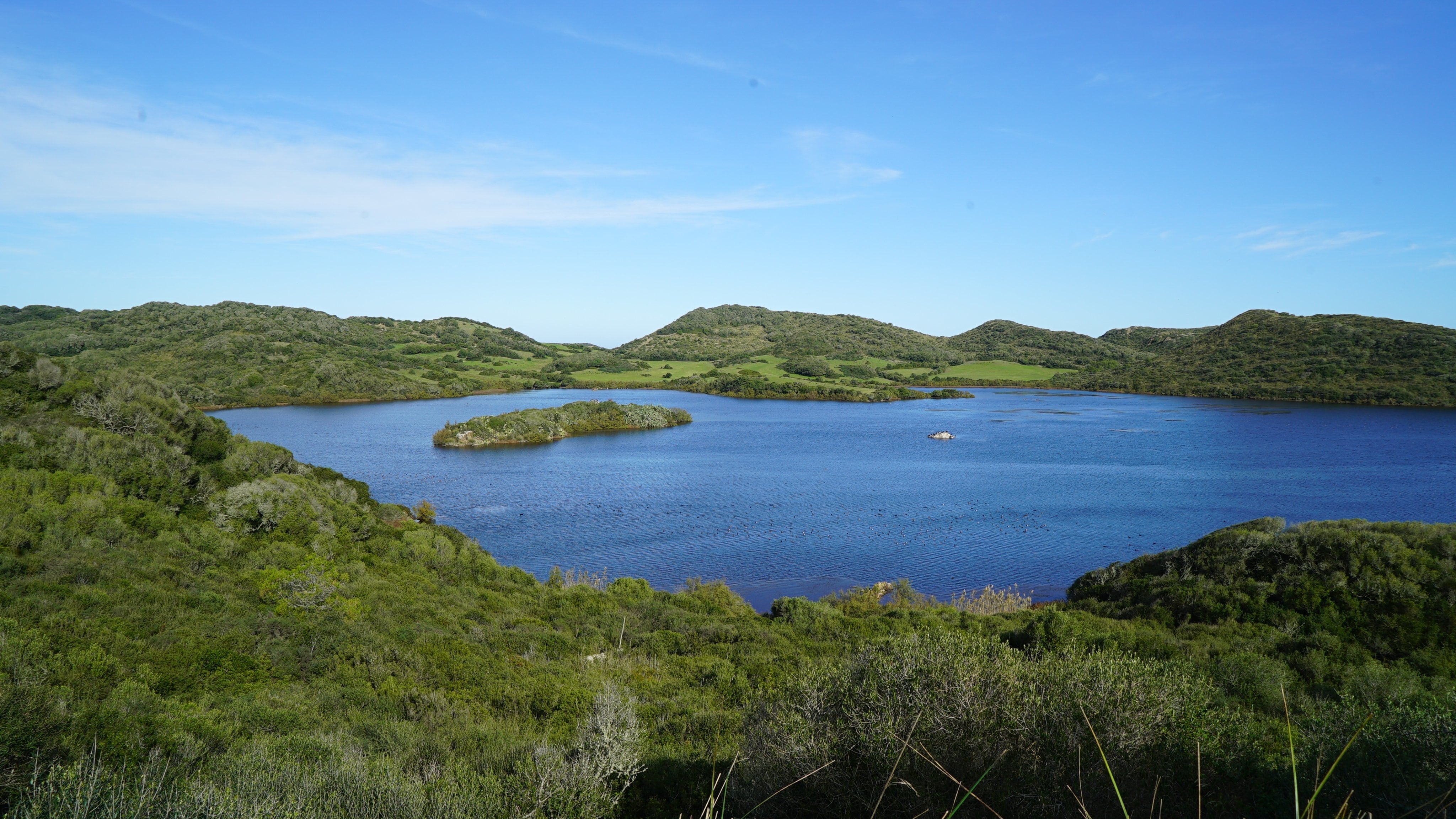 Albufera des Grau