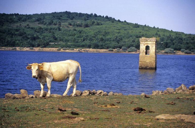 El embalse de la Cuerda del Pozo duplica el nivel del pasado año por estas fechas.