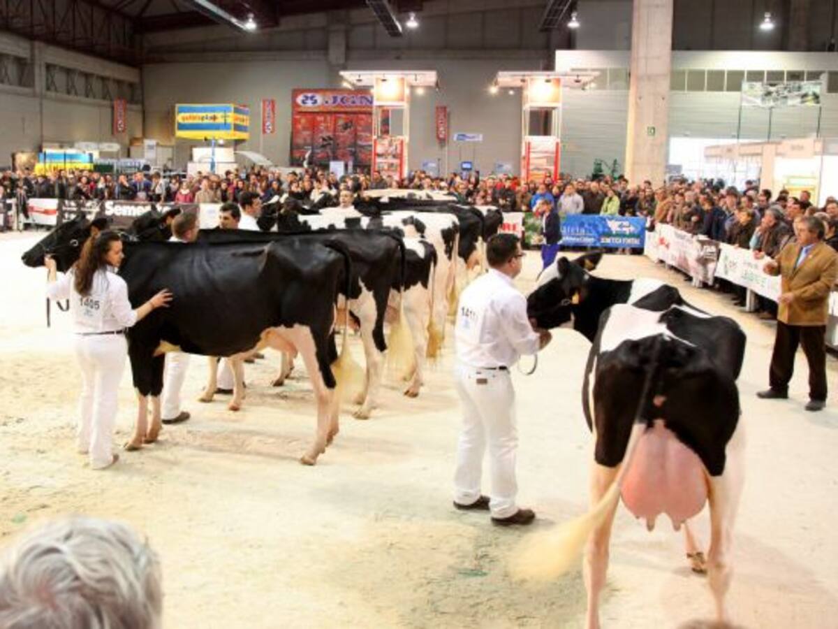 Otro mazazo a costa de la leche