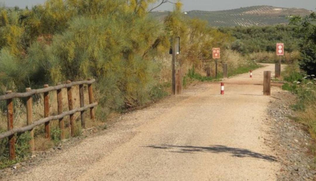 Vía Verde del aceite en la provincia de Jaén.