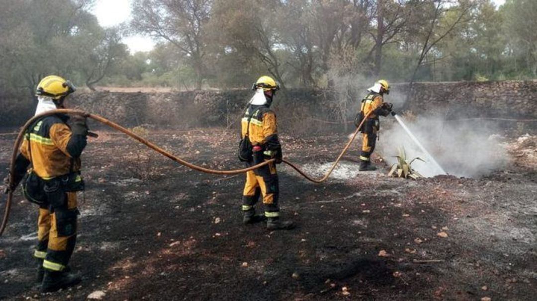 Els cossos anti incendi fan ara les tasques de prevenció per evitar focs forestals a l'estiu.