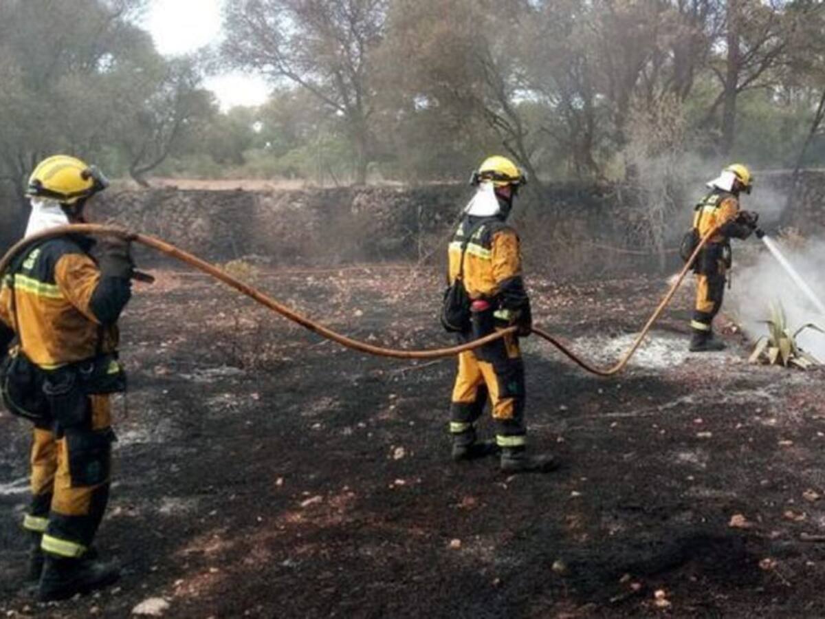 Joan Roselló alerta del perill que suposa la sequera de cara als incendis forestals