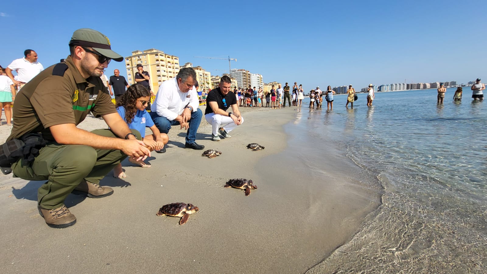 El consejero de Medio Ambiente, Universidades, Investigación y Mar Menor, Juan María Vázquez, participa en la liberación de ejemplares de tortuga boba en La Manga