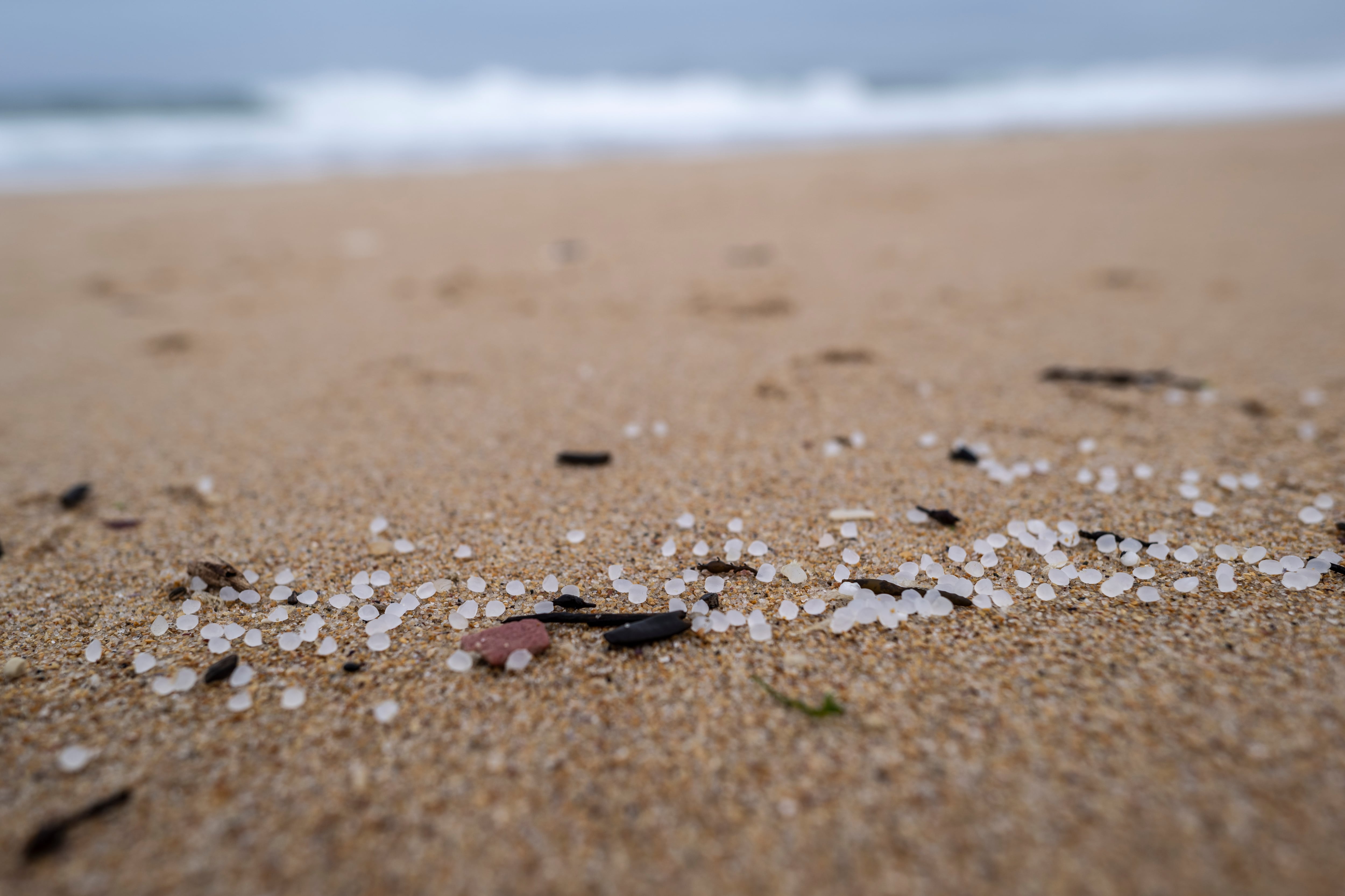 Detalle de los pellets de plástico acumulados en la playa de Seiras (Porto do Son), A Coruña, después de que el buque &#039;Toconao&#039;, con bandera de Liberia, perdiera 26.250 kilos de estas diminutas bolitas frente a las costas portuguesas