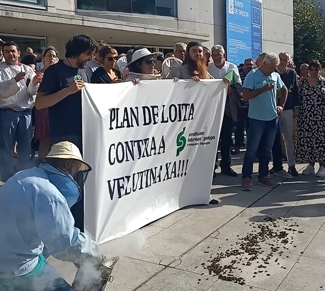 Los apicultores mostraron las capturas del trampeo que están llevando a cabo a modo de protesta