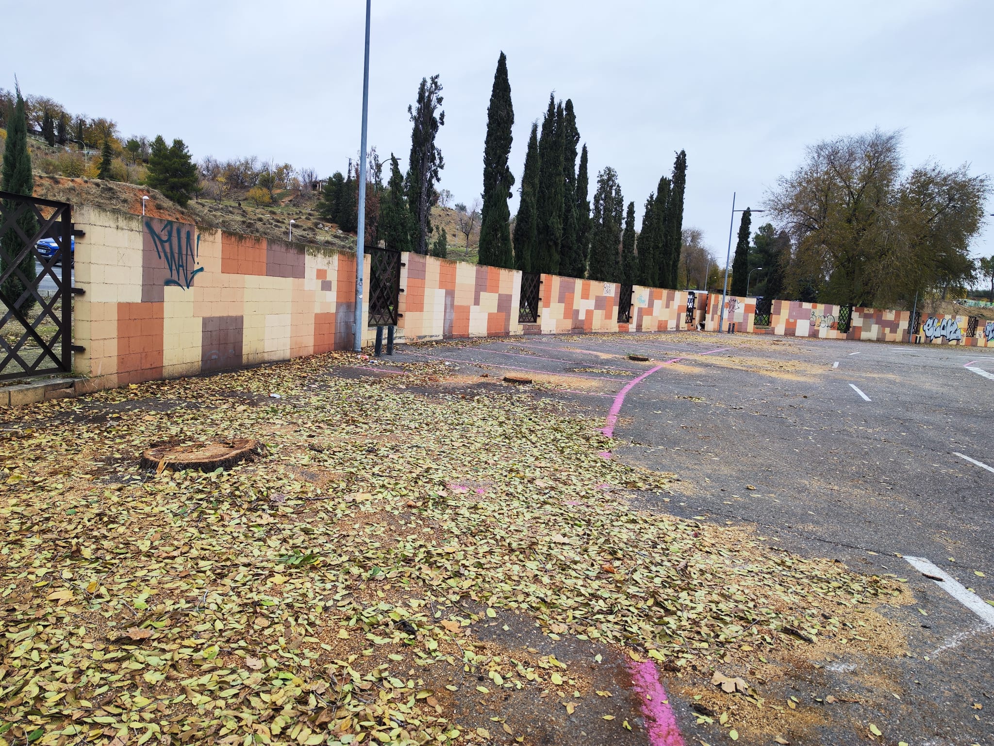 Varios árboles han sido talados en el aparcamiento de Safont, en Toledo