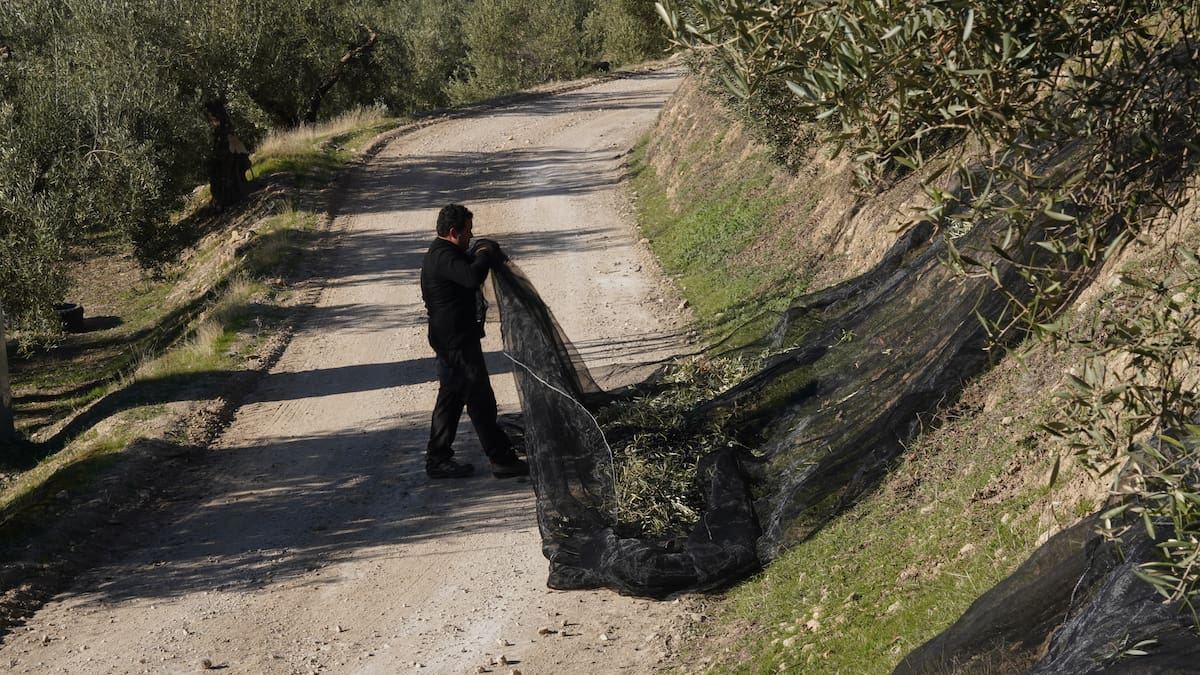 Buena EPA para Jaén
