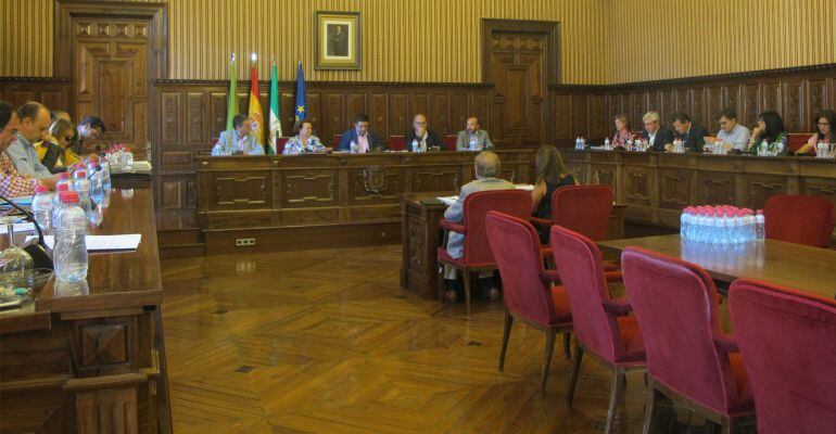 Los diputados durante la celebración del pleno.