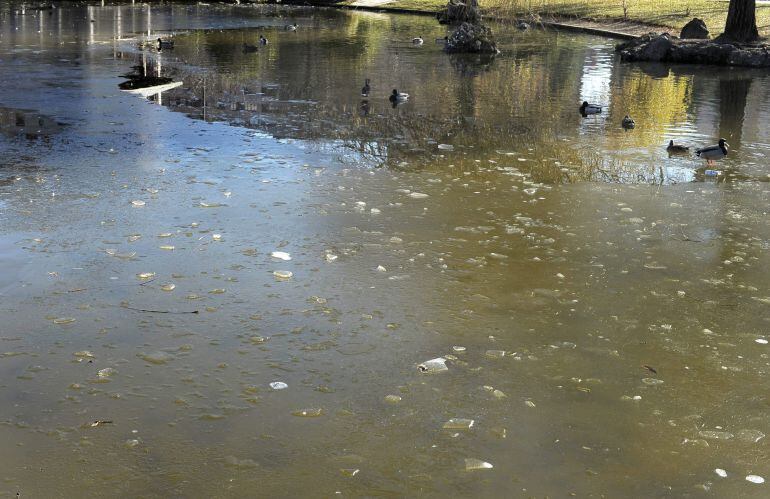 Panorámica del lago de Yamaguchi en Pamplona que el domingo ameneció helado debido a las bajas temperaturas