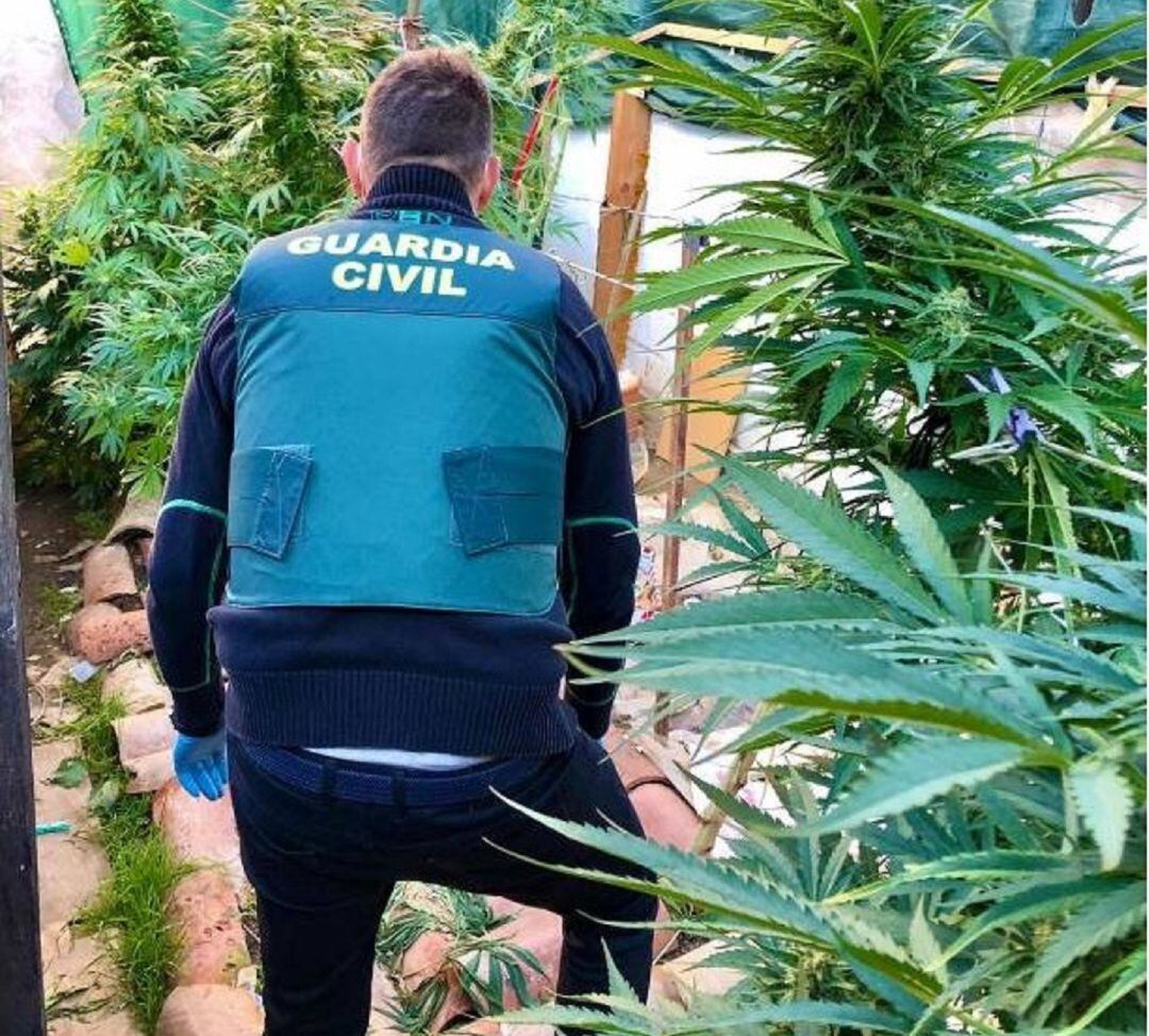 La Guardia Civil detiene a un hombre por un delito contra la salud pública y otro de defraudación de fluido eléctrico