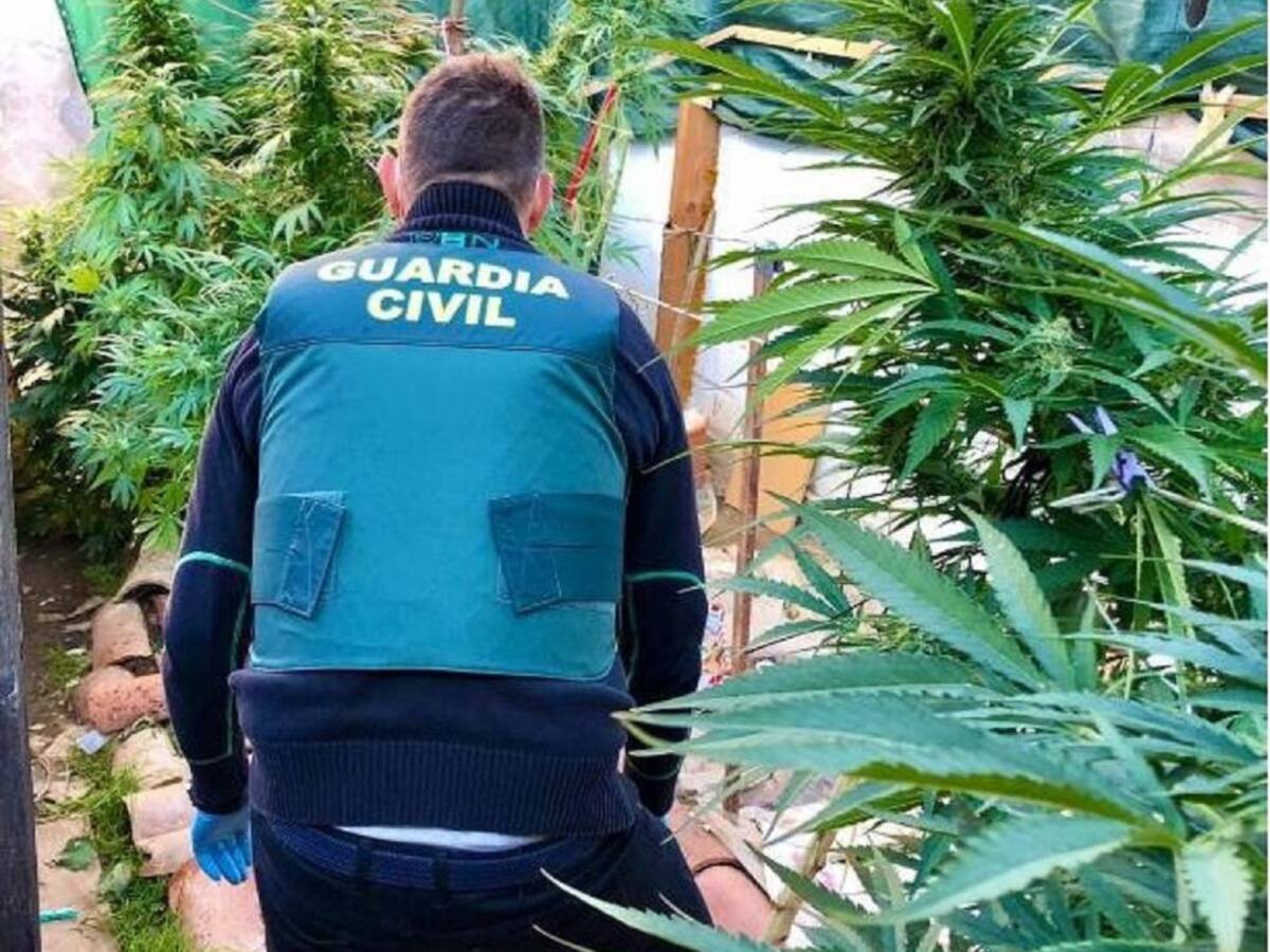 Detenido por un delito contra la salud pública y por defraudación de fluido eléctrico