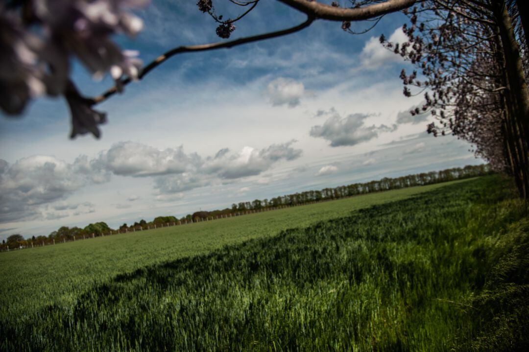 La mejor primavera en siglos