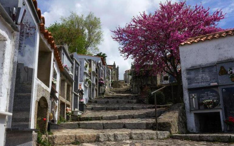 El cementerio que encabeza la lista de los mejores en España.