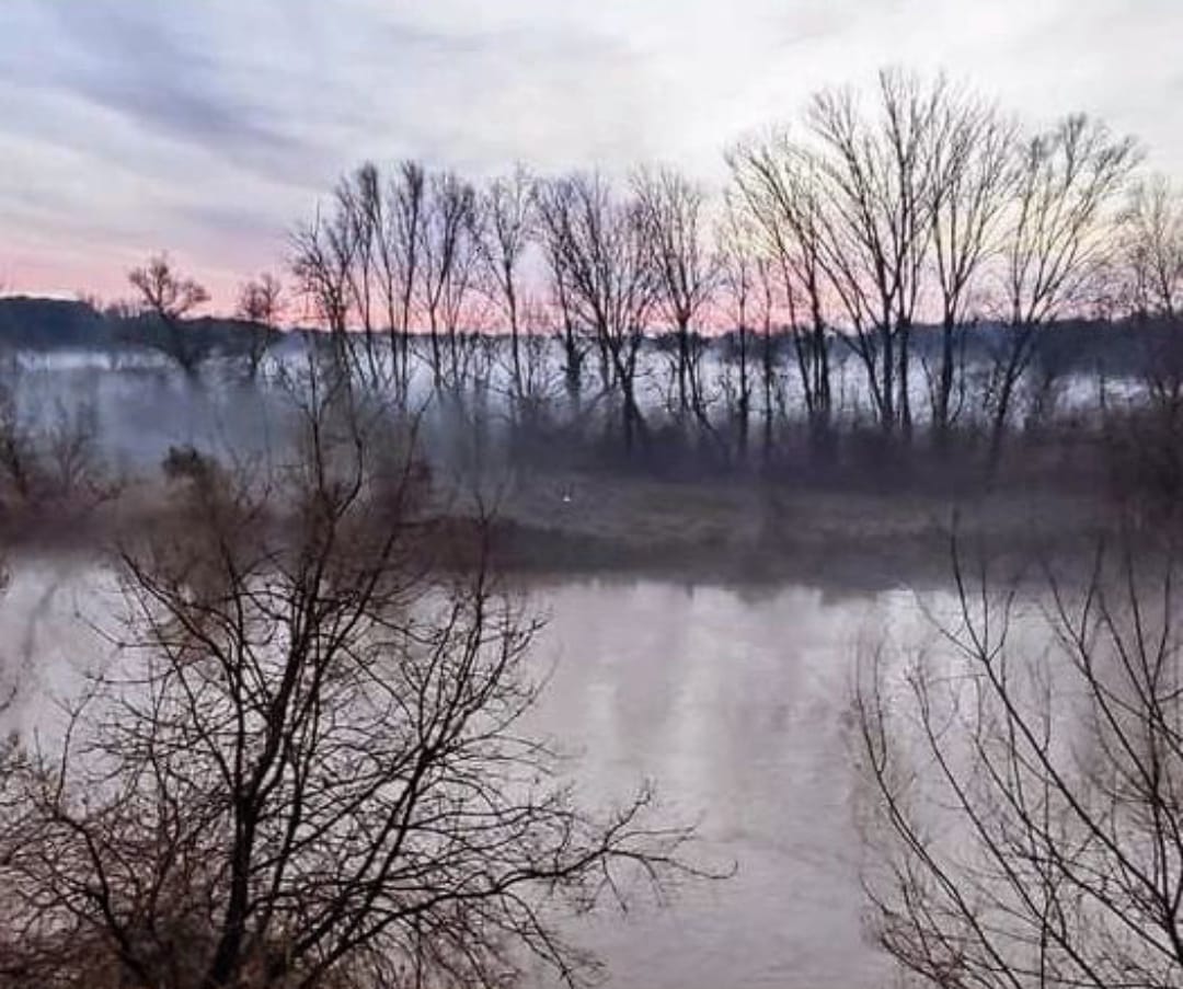 Imágenes de los terrenos que el ayuntamiento de Tudela tiene previsto adquirir