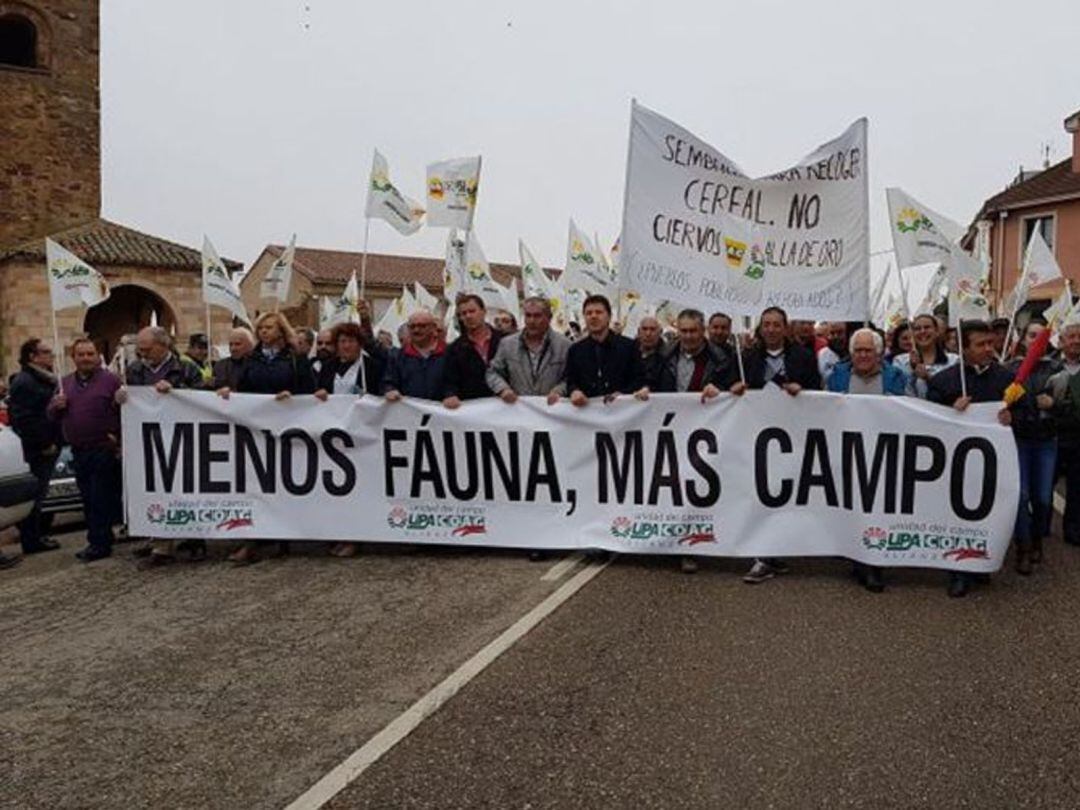 Manifestación en Tábara contra las consecuencias de la fauna salvaje