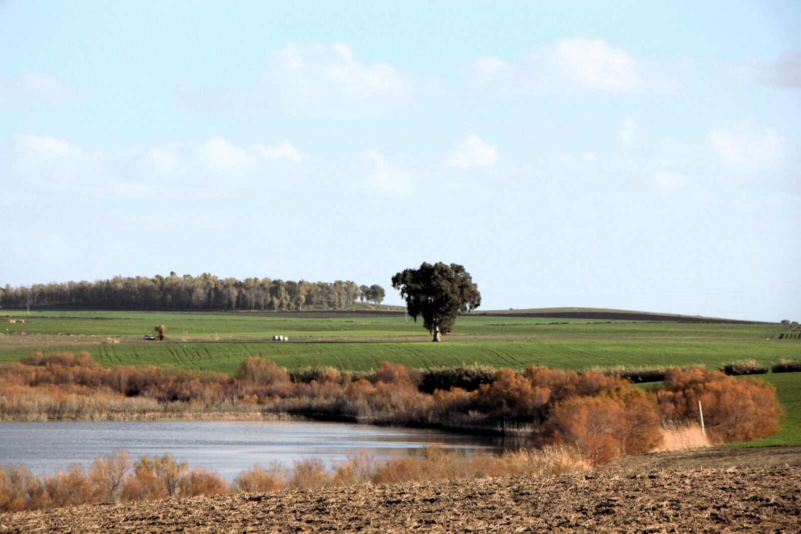 Recorrido por la Carrahola y la laguna de los Tercios en Jerez