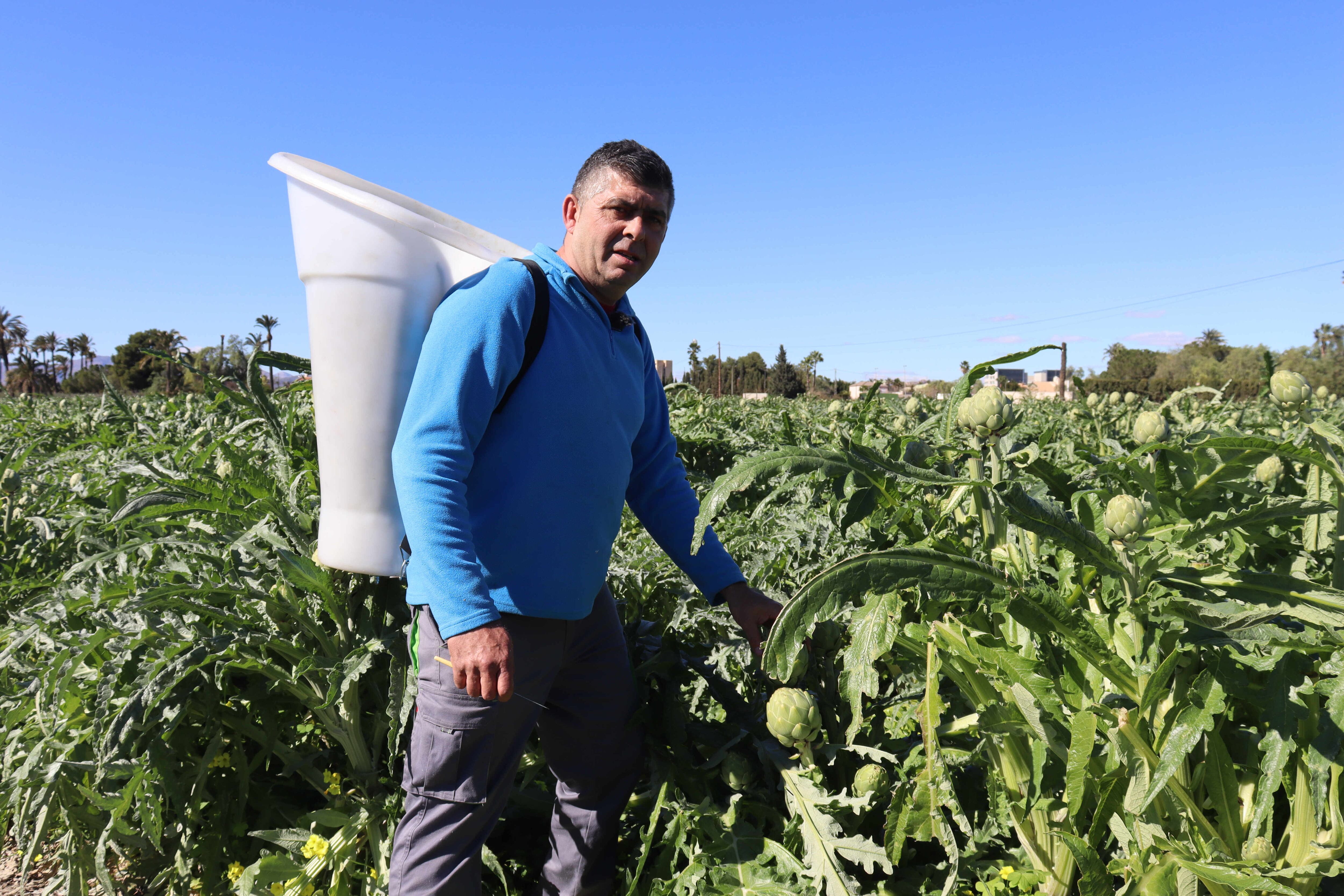 Andrés Soto Agricultor del año