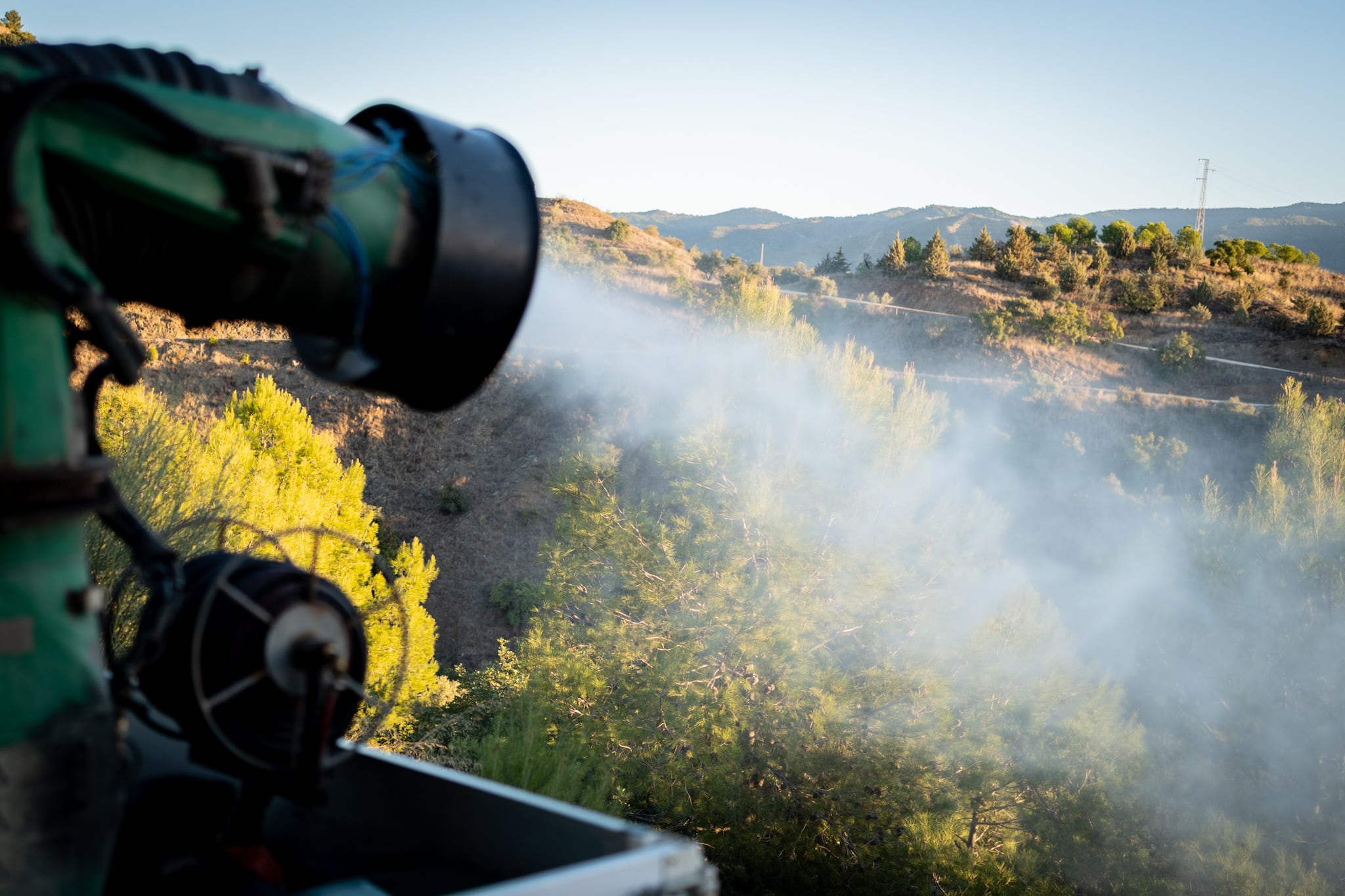 Momento de la intervención