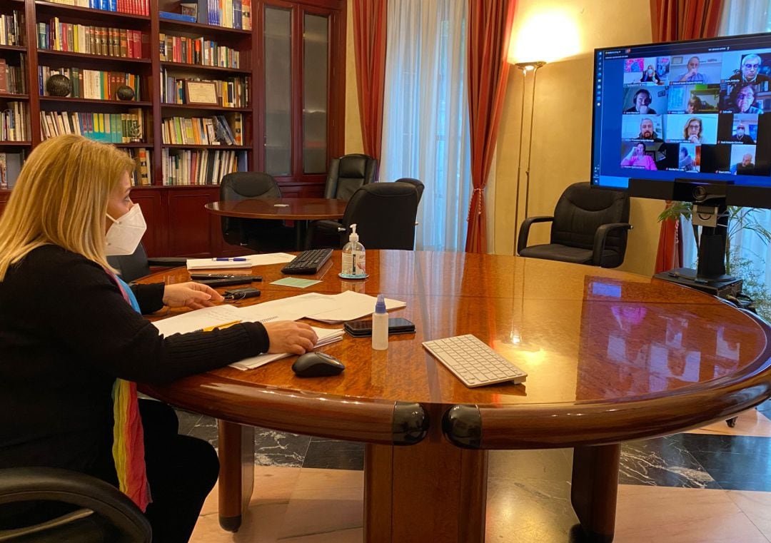 Reunión telemática del Consejo escolar de Jerez