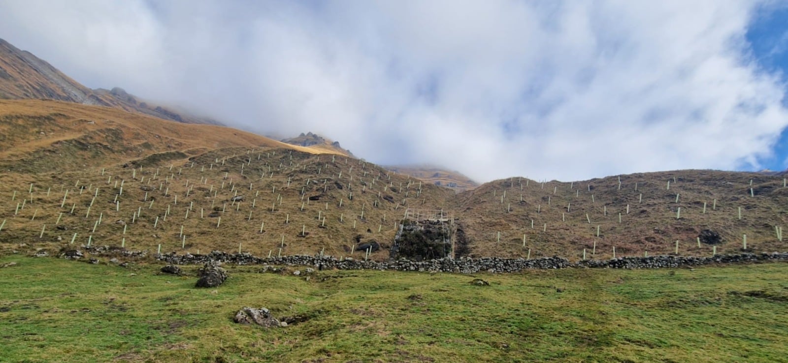 Plantación de árboles junto a la base de piedra del antiguo resbaladero de Lunada.