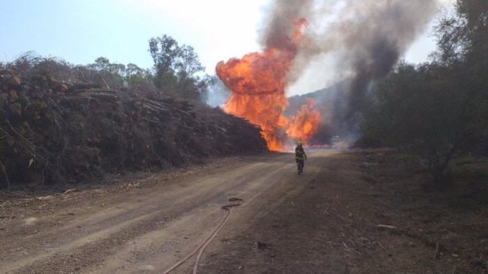 Incendio en la Finca Borondo en San Roque