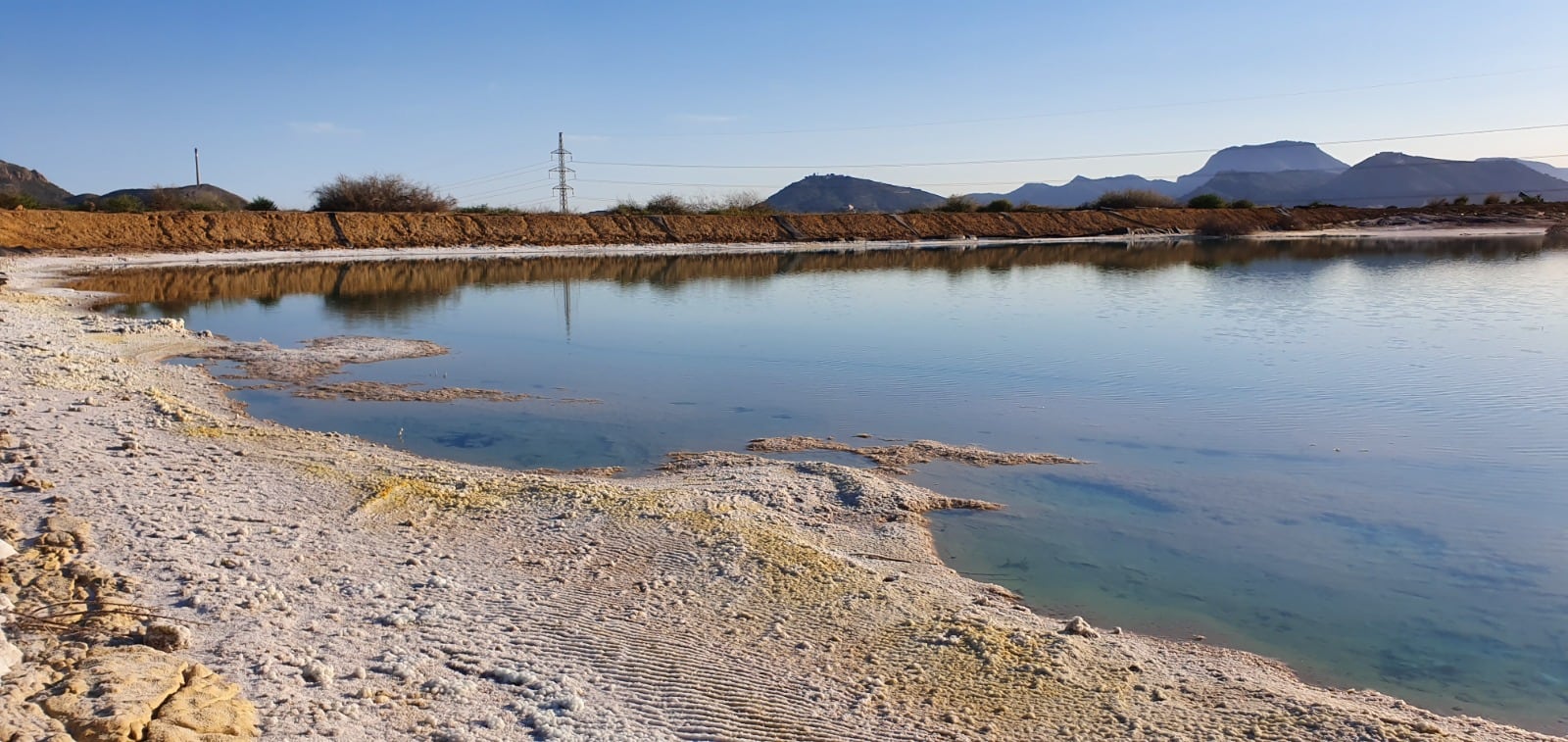 José Matías Peña advierte de que el informe del Consejo de Seguridad Nuclear no soluciona la magnitud de la crisis química en Torreciega