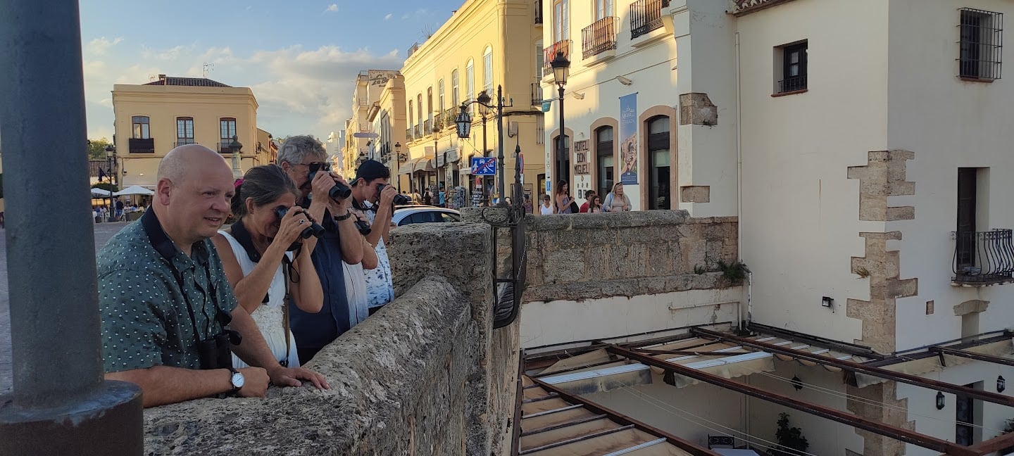 Birding Málaga