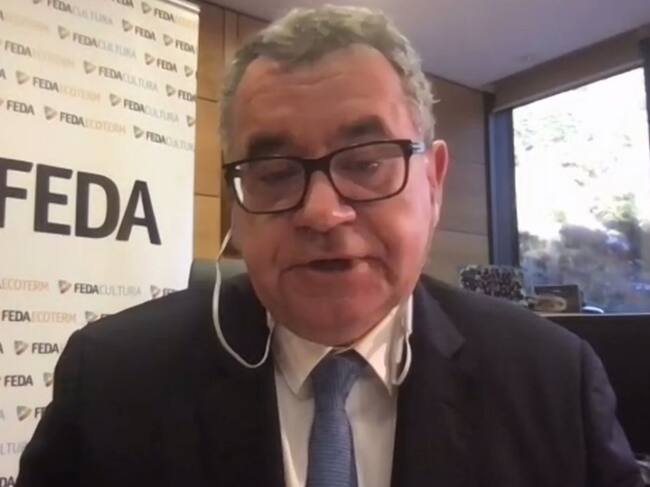 El director general de FEDA, Albert Moles, durant la roda de premsa telemàtica.