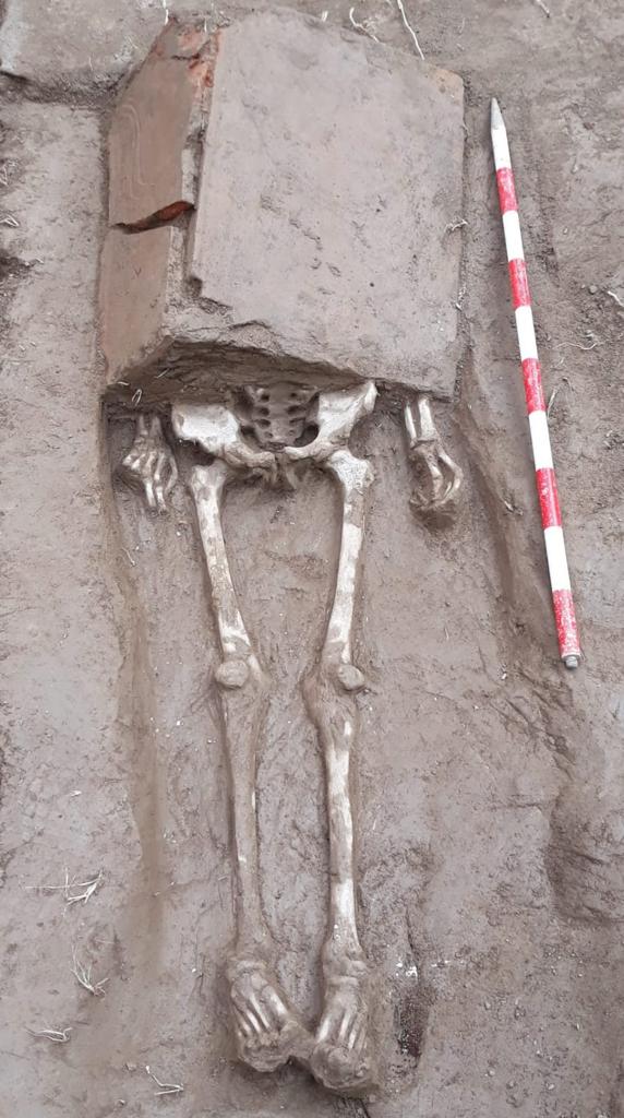 Localizan una necrópolis romana con cinco enterramientos en una parcela ubicada en Rey Carlos III