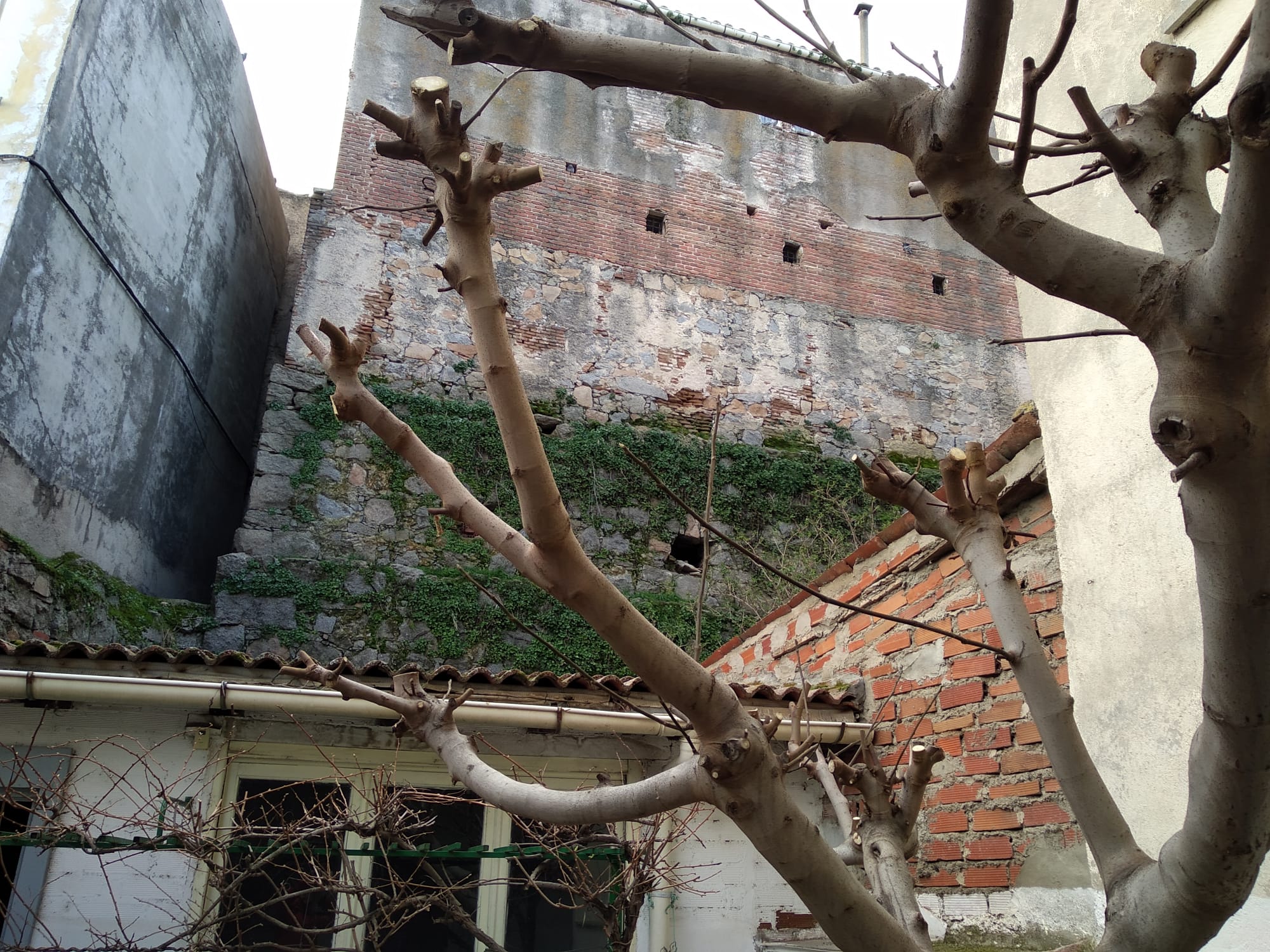 Edifico del que se desprenden piedras a una finca de la calle de La Parrilla