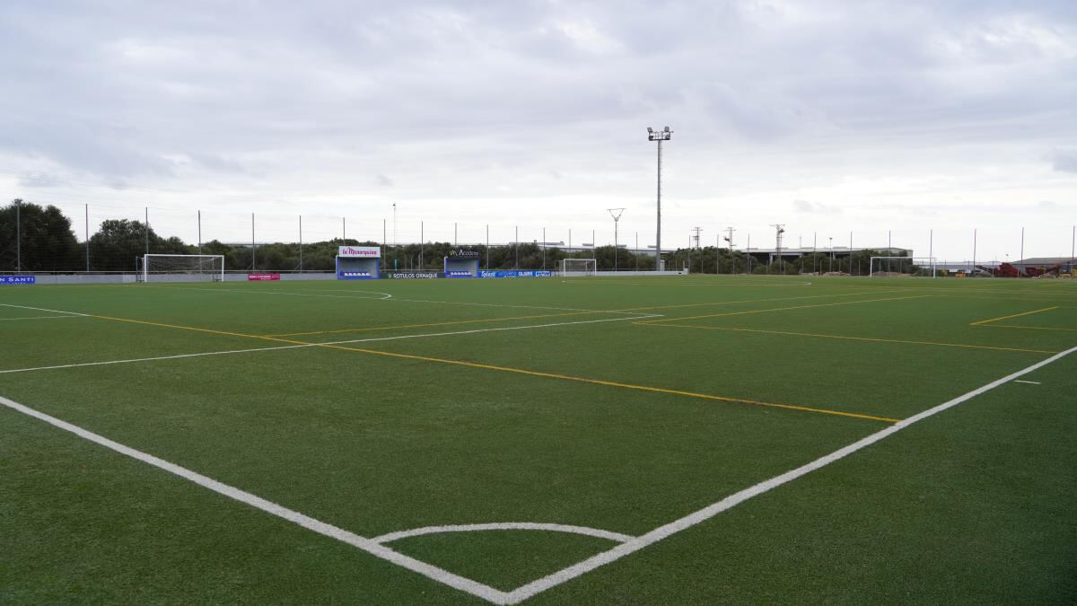 Bintaufa renovarà la seva gespa artificial.