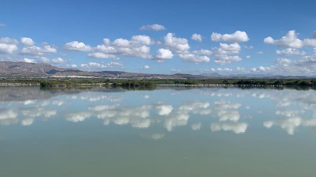 Parque Natural del Hondo