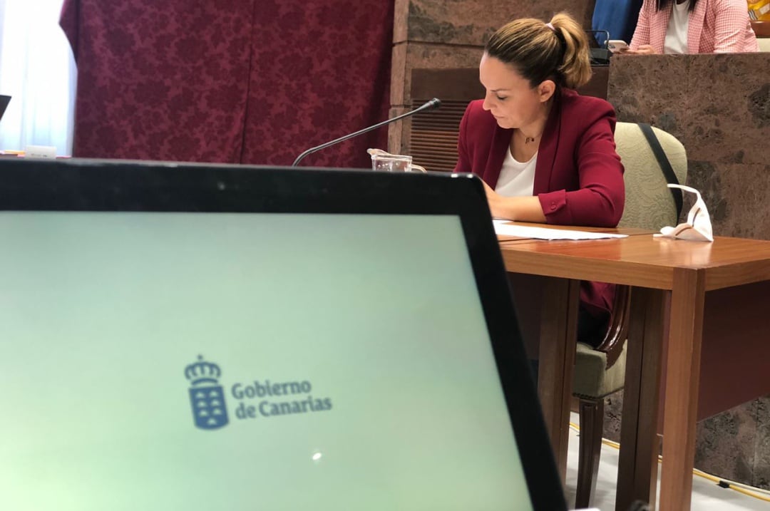 La consejera de Derechos Sociales, Noemí Santana, en un momento durante su comparecencia en la Comisión de Presupuestos del Parlamento de Canarias