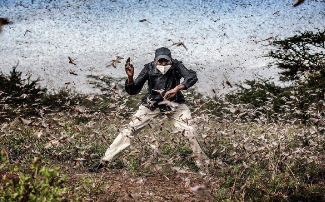 Fotografía de Luis Tato nominada al World Press Photo 2021.