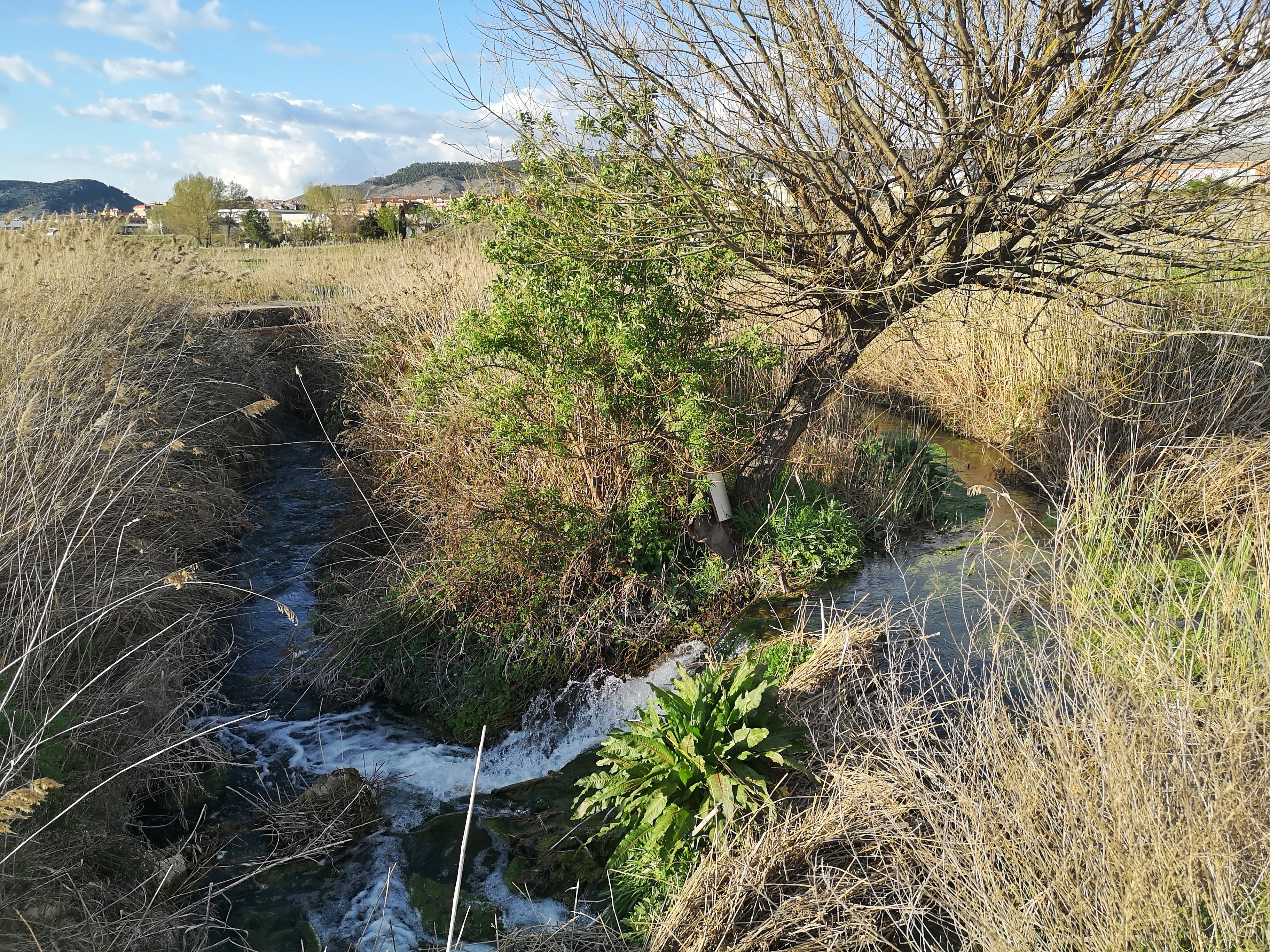 El río Moscas en un momento del recorrido.