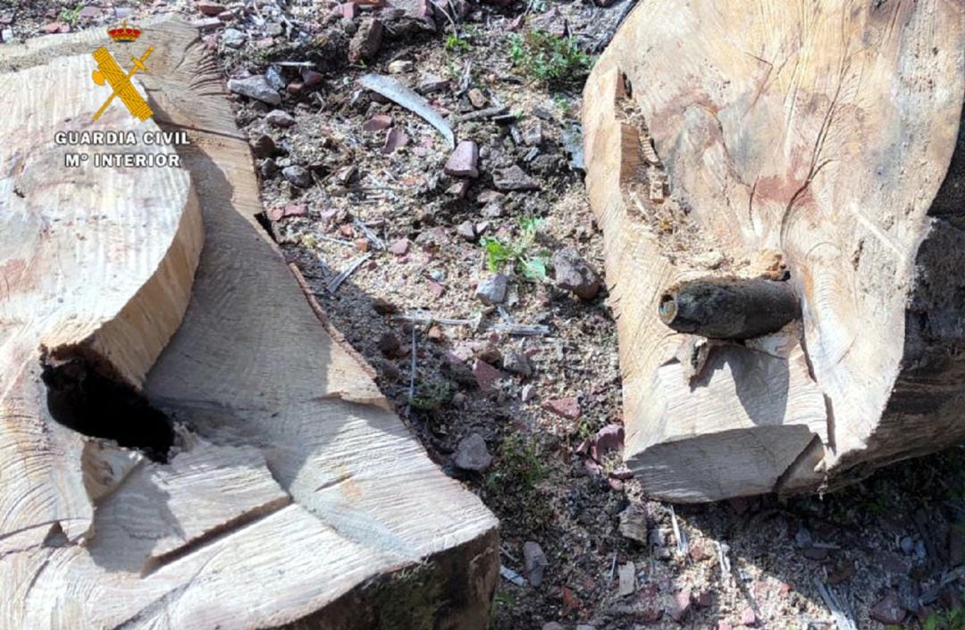 Destruyen un mortero de la Guerra Civil encontrado en un tronco en San Felices de Buelna