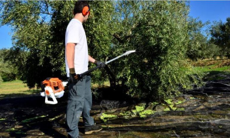 El plazo finalizaba el 25 de julio.