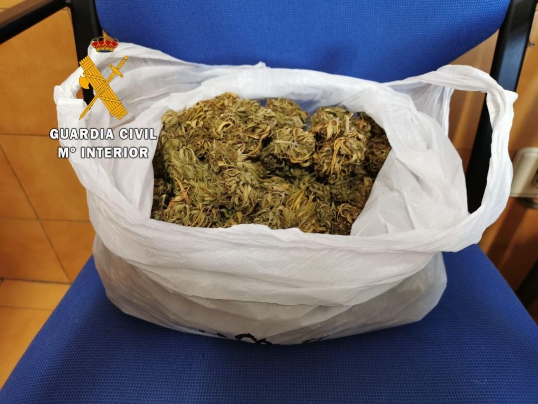 Imagen de la marihuana incautada
