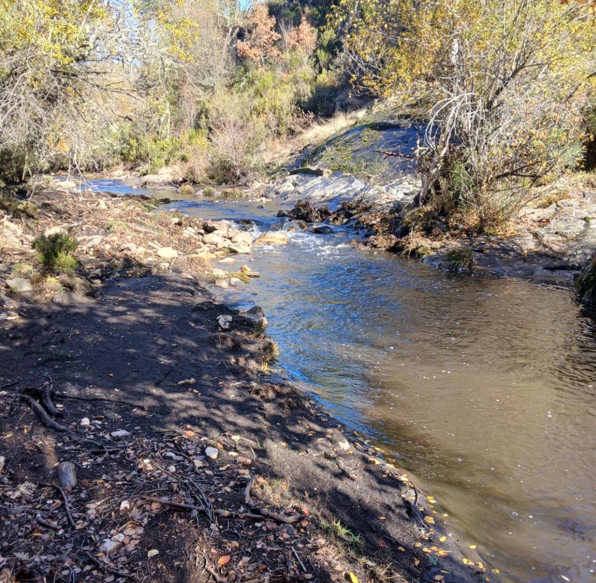 Zona río Jarama contaminada