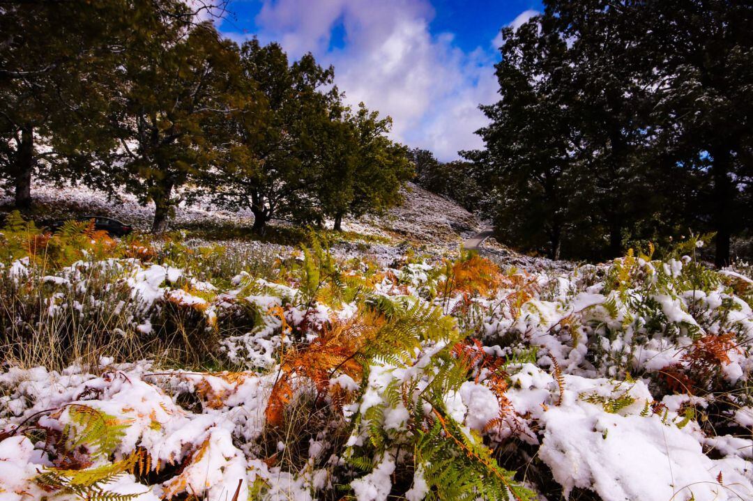 La nieve ha hecho su primera aparición en Extremadura en este fin de semana y el Puerto de Honduras mostraba el manto invernal con los tonos ocres del otoño 