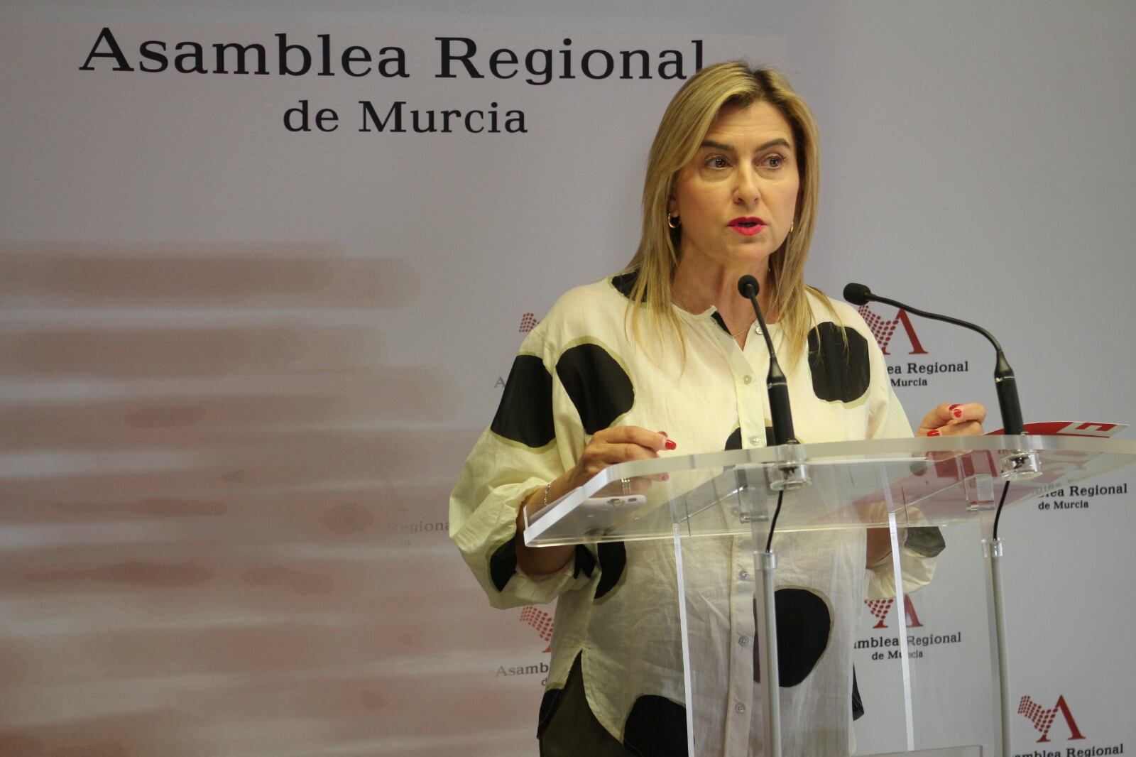 Carmina Fernández, viceportavoz del Grupo Municipal Socialista