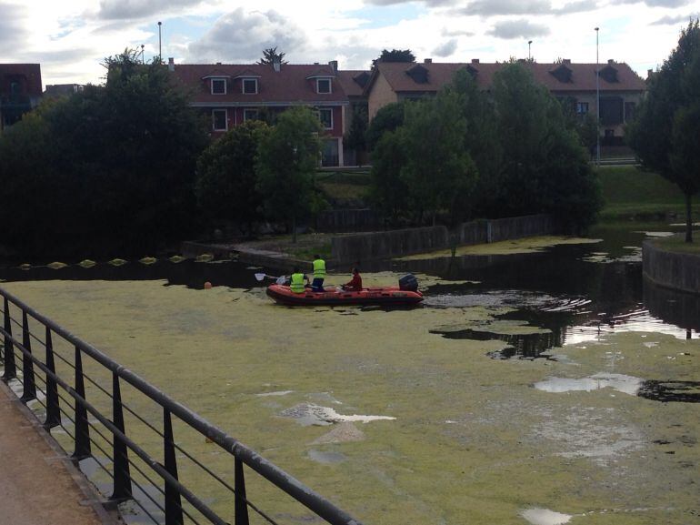 Operarios de EULEN limpian desde una lancha el Piles. 