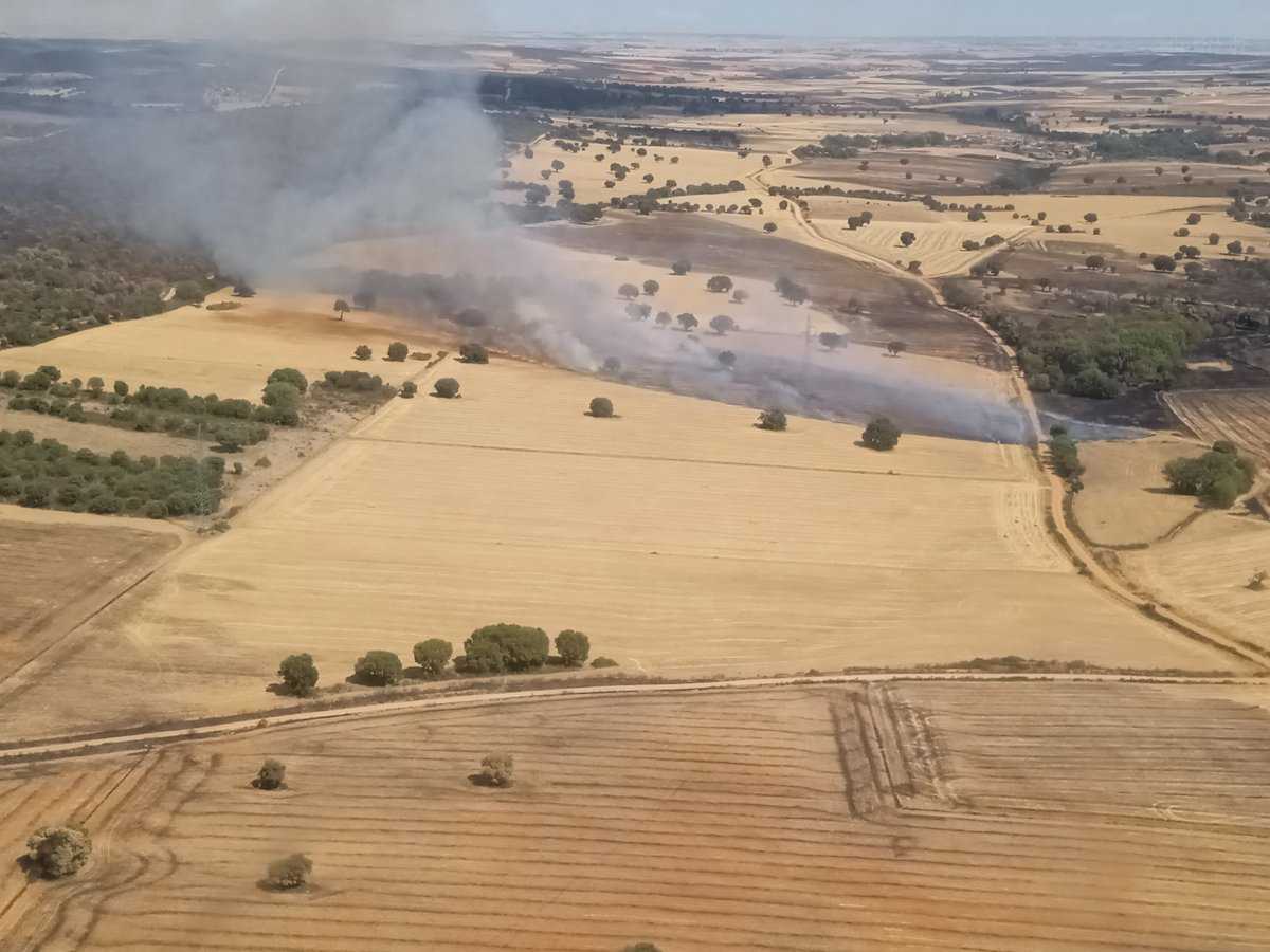 Reactivación del incendio de Losacio la tarde de este martes en Marquiz de Alba