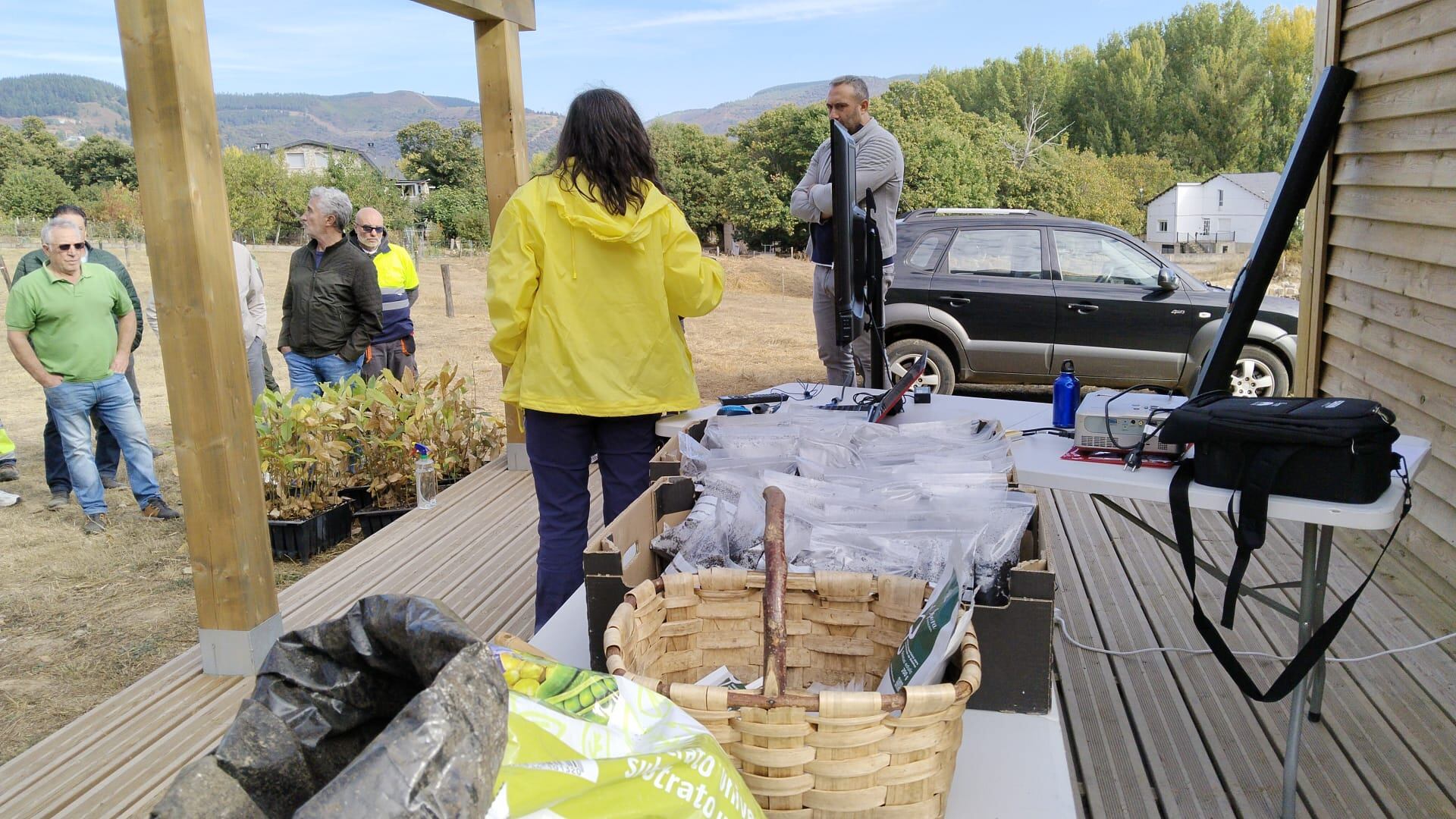 Reparto de plantones