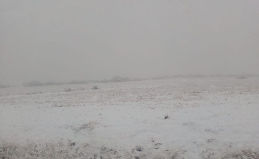 La localidad de Granátula de Calatrava se ha despertado este domingo con un manto de nieve 