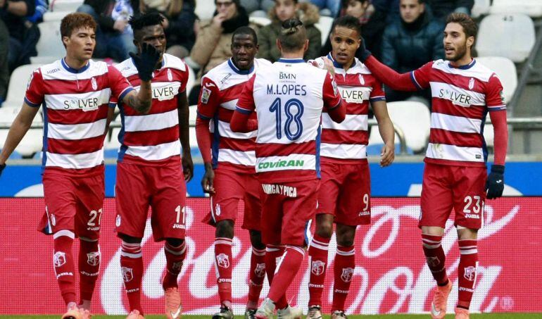 Los jugadores del Granada celebran el gol de su equipo durante el partido correspondiente a la vigesimosexta jornada de la Liga BBVA