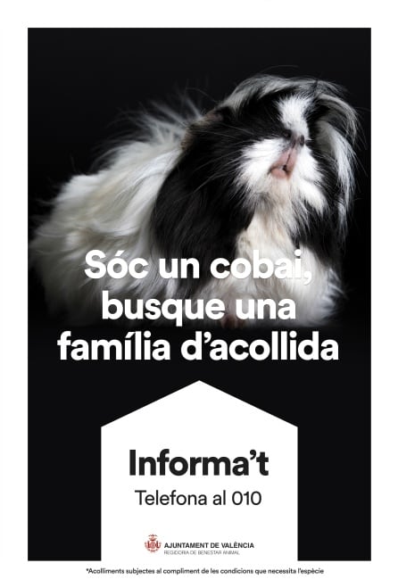 Cartel de la campaña &quot;Adopta&#039;l&quot;