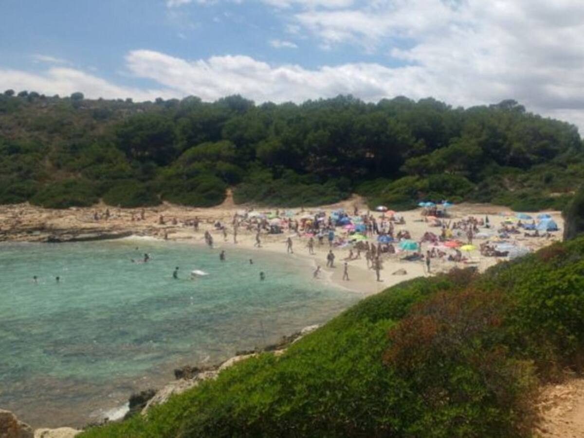 Medi Ambient sanciona con 100.000 euros a la cantina ilegal de Cala Varques