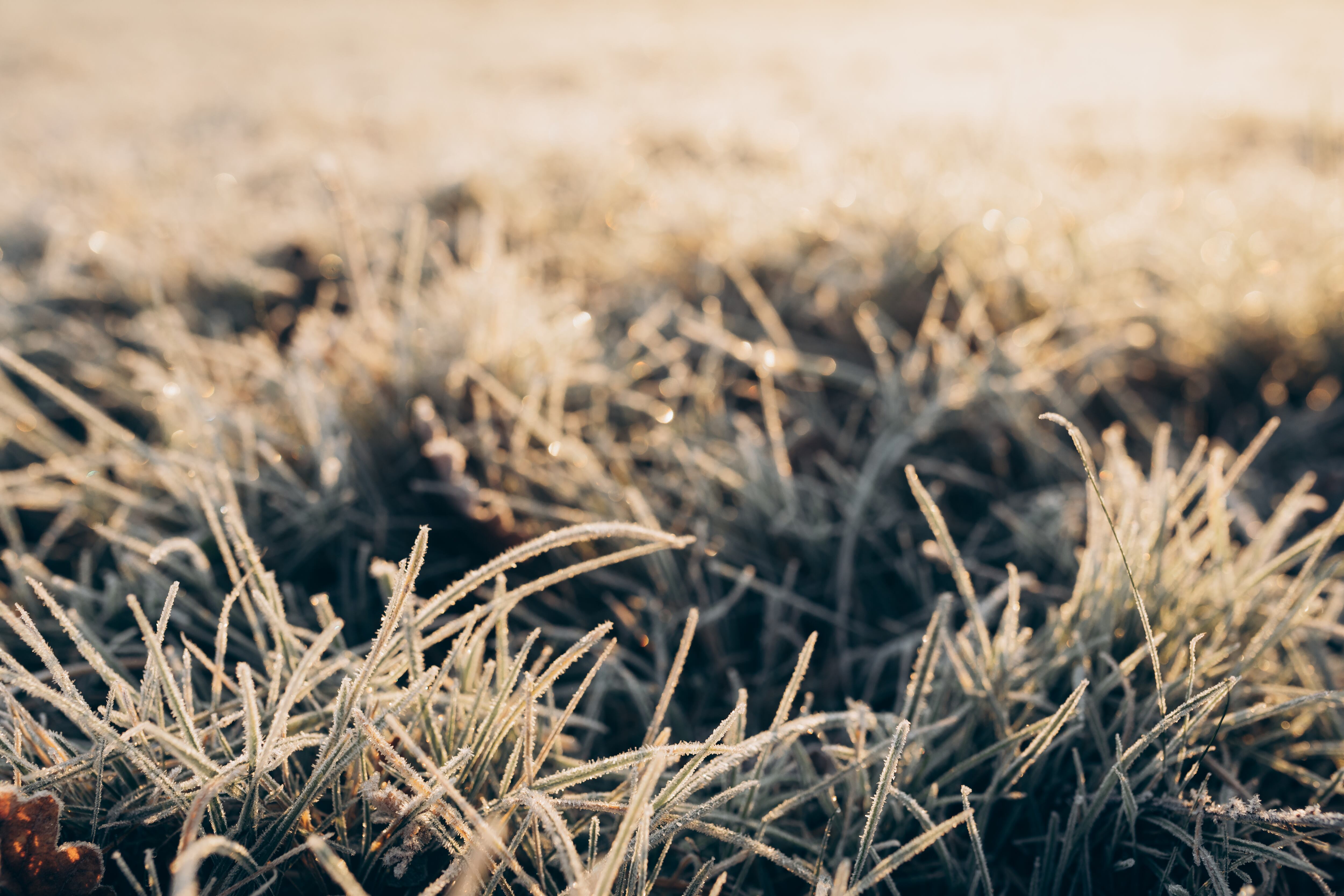 Castilla-La Mancha comienza el año con tiempo gélido: temperaturas de hasta -8º