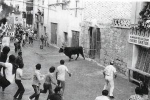 El toro de Lodosa (Navarra).